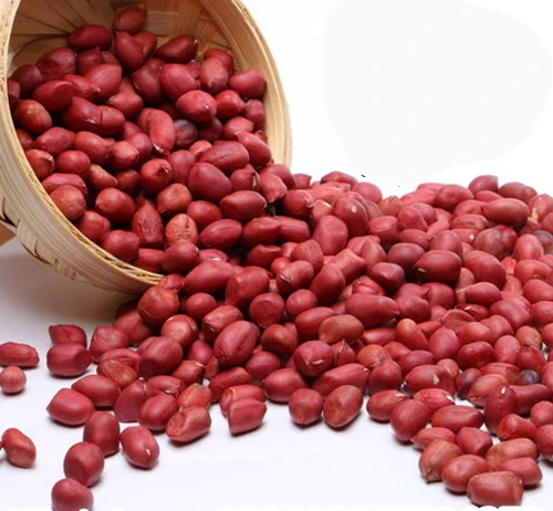
PROMOTION PRICE REDSKIN PEANUTS 