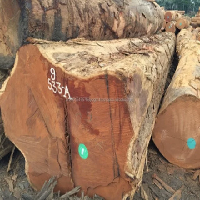 Panga Panga Wood (Millettia Stuhlmannii) Square And Round Logs
