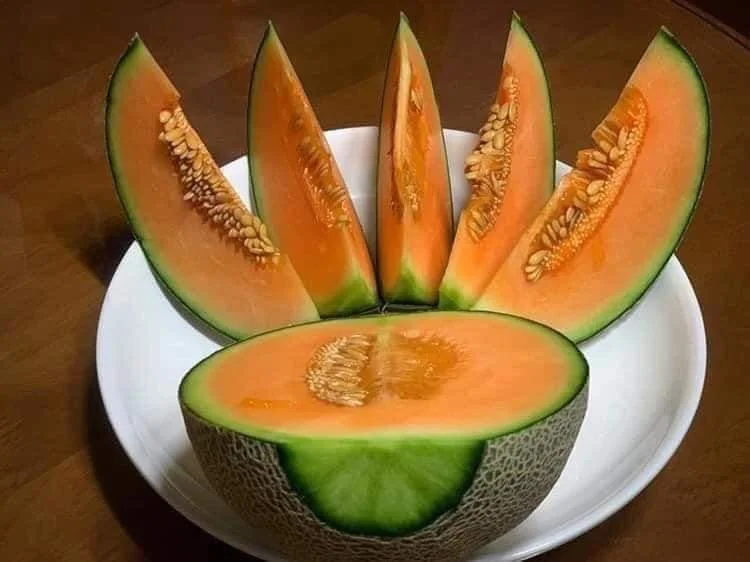 Exported Fresh Cataloupe Fruits From Vietnam Premium King Melon Taken Care By Japanese Standard Procedure