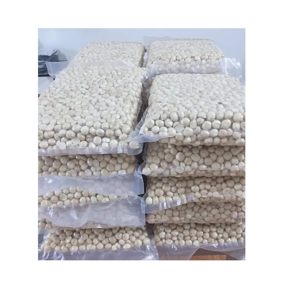 
ISO Certification Use immediately without Processing Organic Cultivation Type Macadamia kernel from Vietnam 