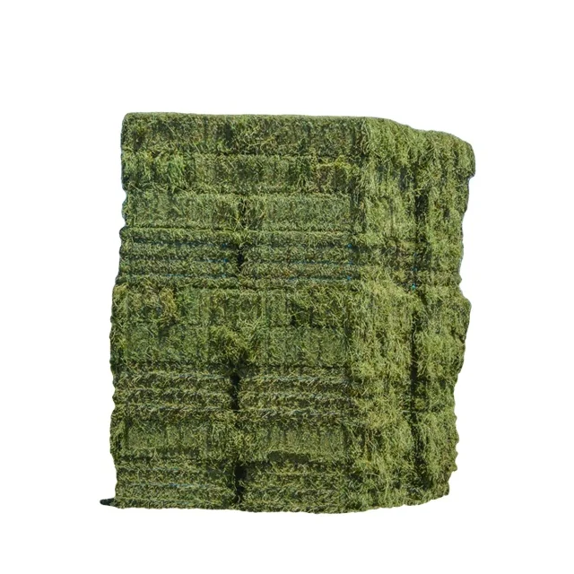 Alfalfa Hay from Ukraine