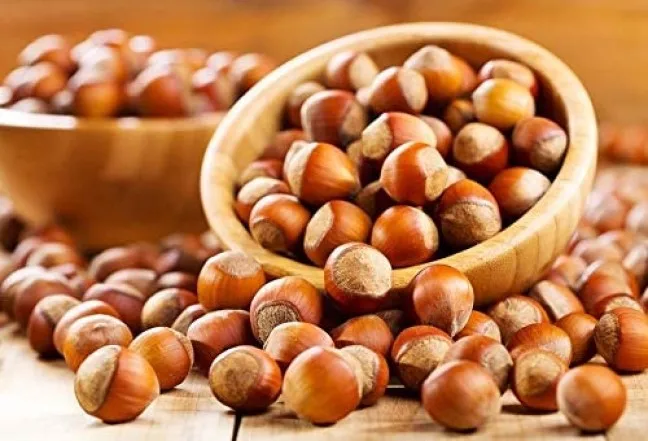 9-11 MM Organic & Natural Raw Unshelled Hazelnuts All Sizes are Available.