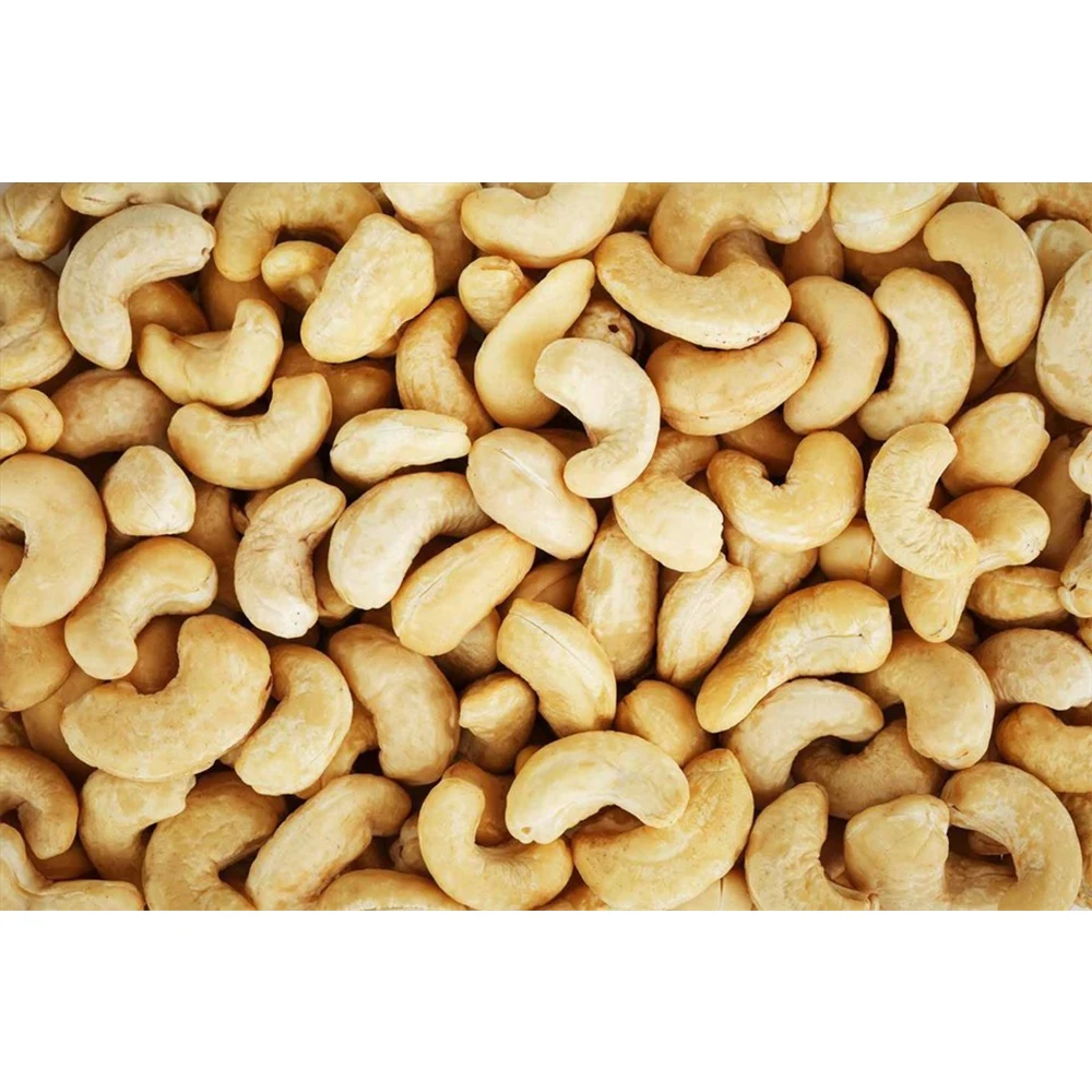 Factory price roasted cashew nuts