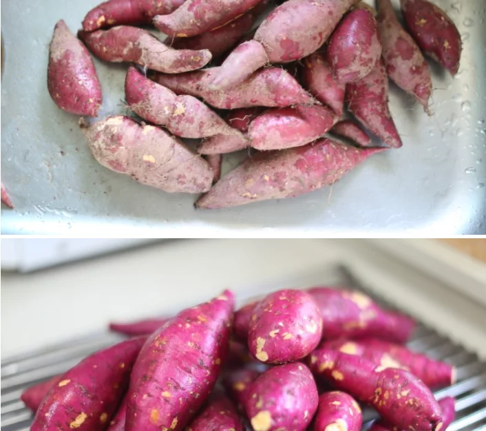  Высокое качество сладкий картофель конкурентоспособная цена для покупателей/Ms Sofia + 84 789946878