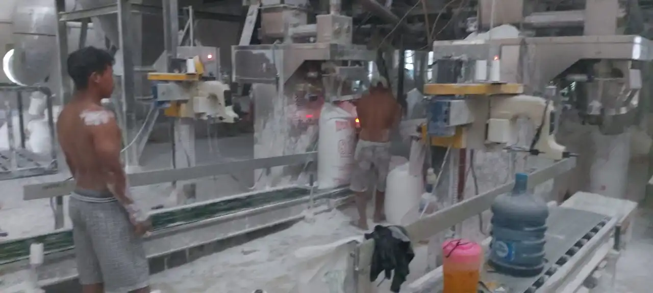 Крахмал или мука из Индонезии