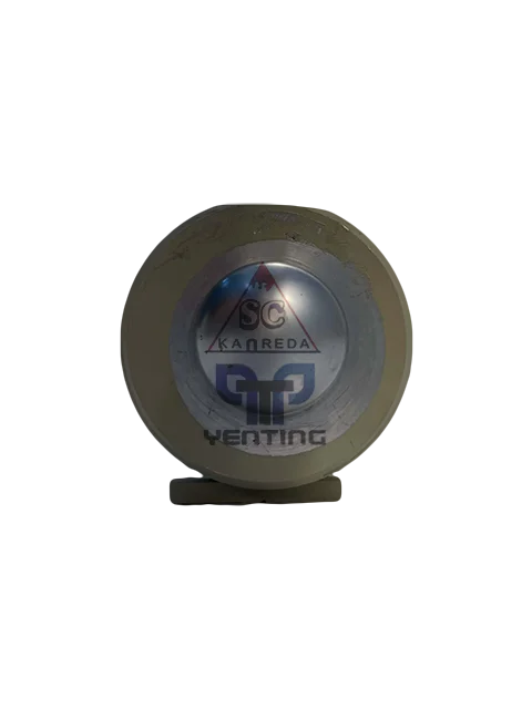 PLUNGER CYLINDER Q160-80 for Putzmeister