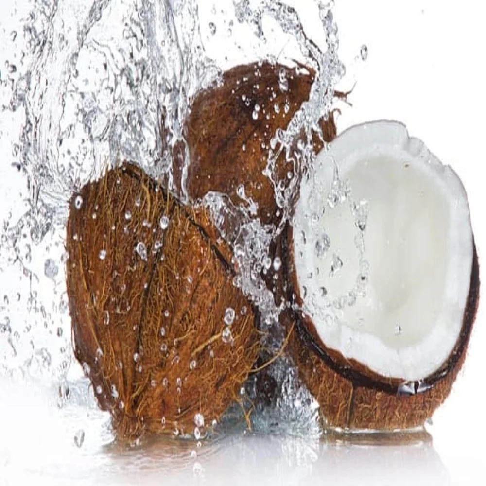 Fresh mature coconut in bag newly harvested made Viet Nam Phytosanitary Certification