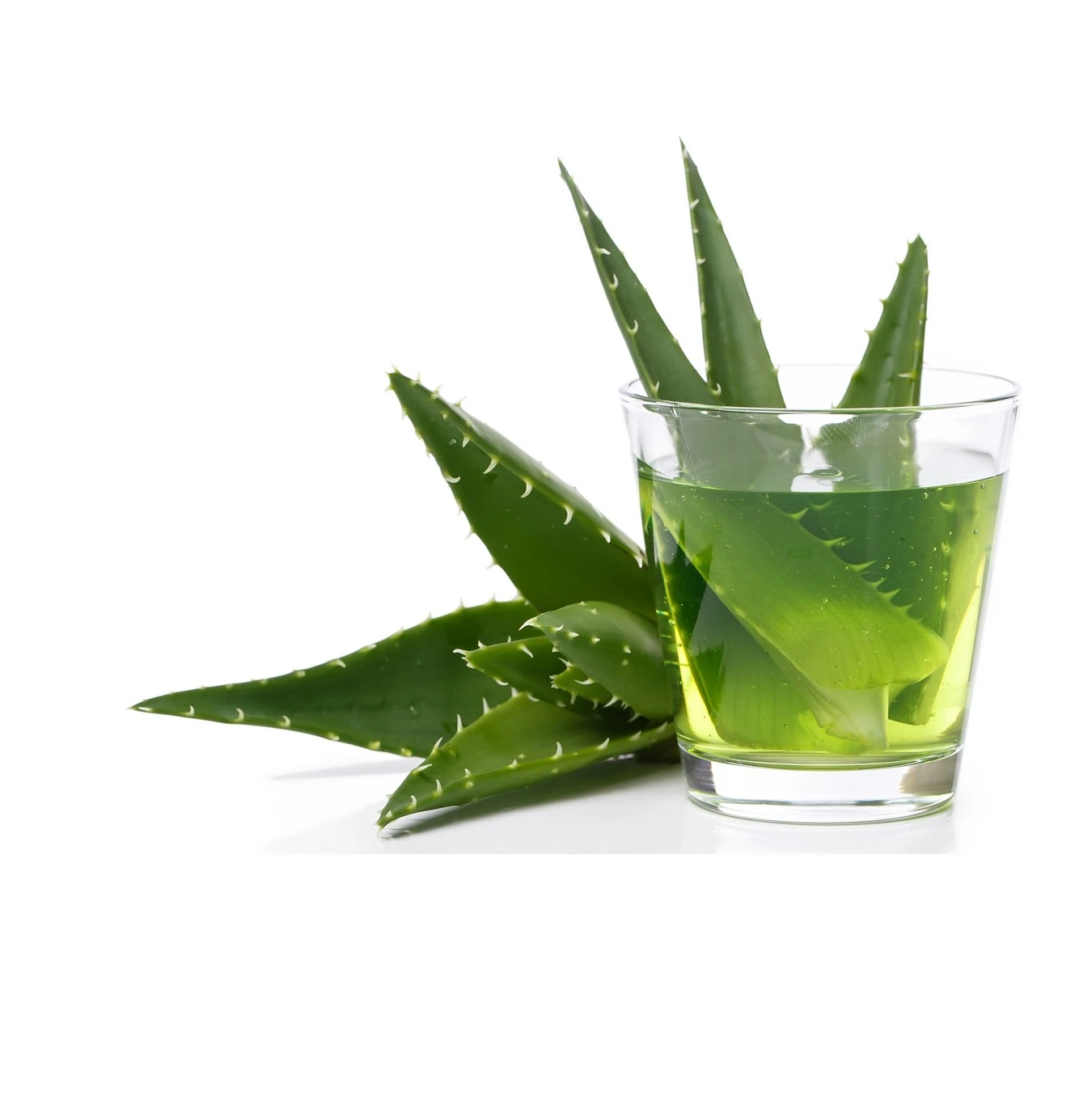 Natural Herb Use Beauty Aloe vera in syrup from Vietnam