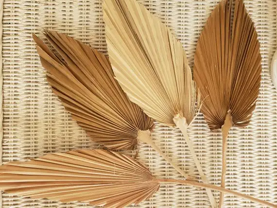 Красота декор с сушеной ладонью Высокое качество Вьетнам 99 Золотой данные