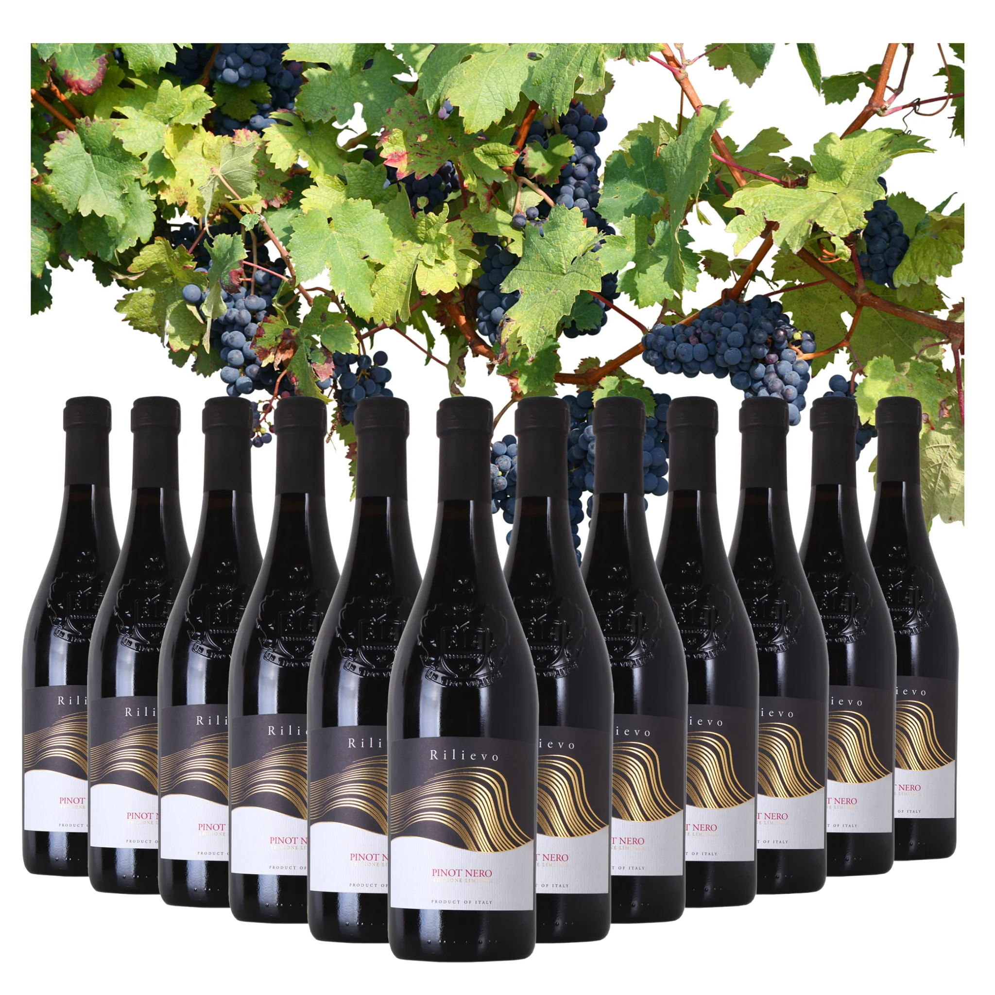 Dropship Red Wine - Pinot Noir Trevenezie IGT Rilievo - Red wine bottles for sale 750 ml alcohol wine 12%