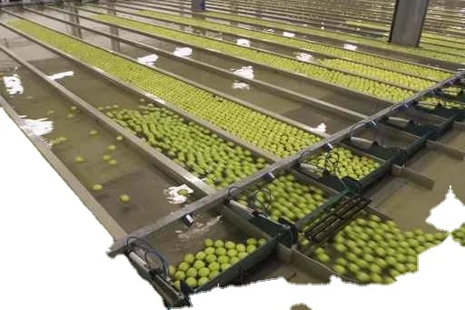 
Fresh Fruits and Vegetables 