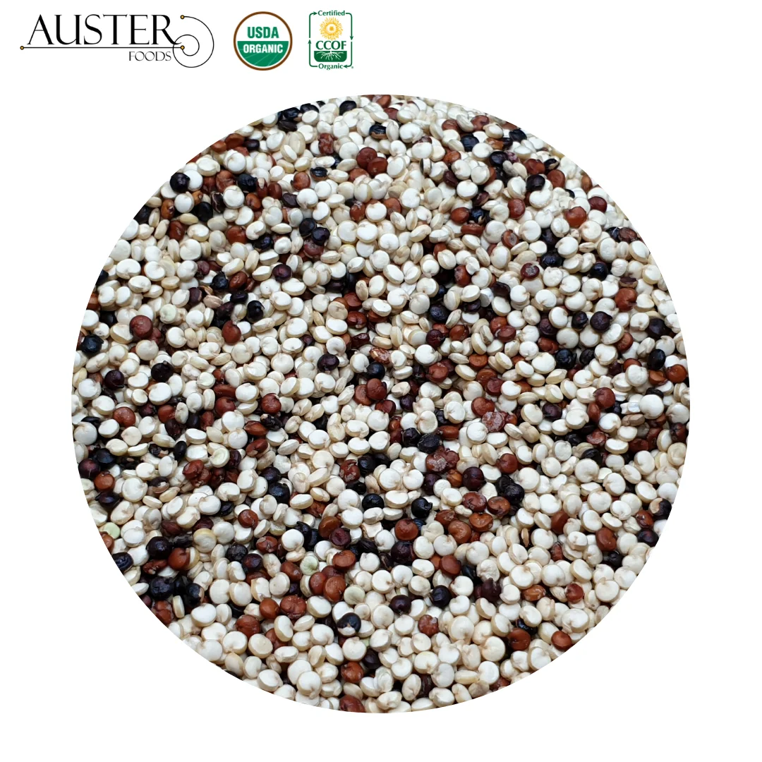 
Tri Color Quinoa Grains Organic 