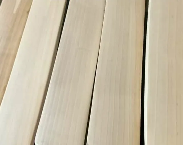High Quality New Design Professional English Willow Made Exclusive Cricket Bat for Cricket Lovers Sports Item at Wholesale Price