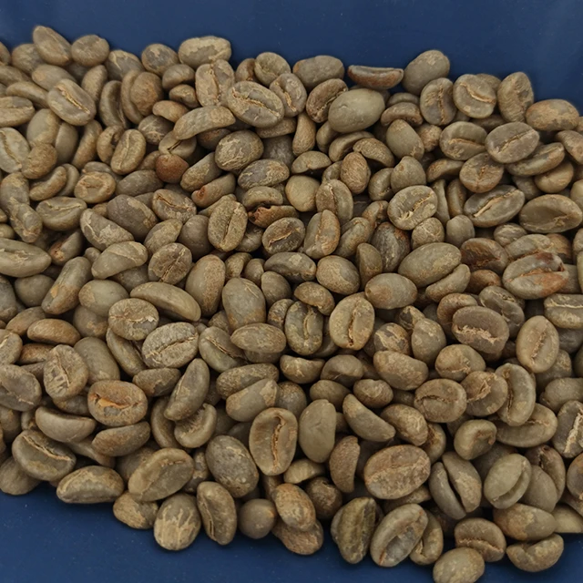 
EthioCo GmbH - Colombian Supremo 17/18 - Green Raw Fair Coffee 