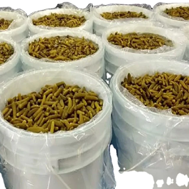 
Pickled Gherkins in All Media 