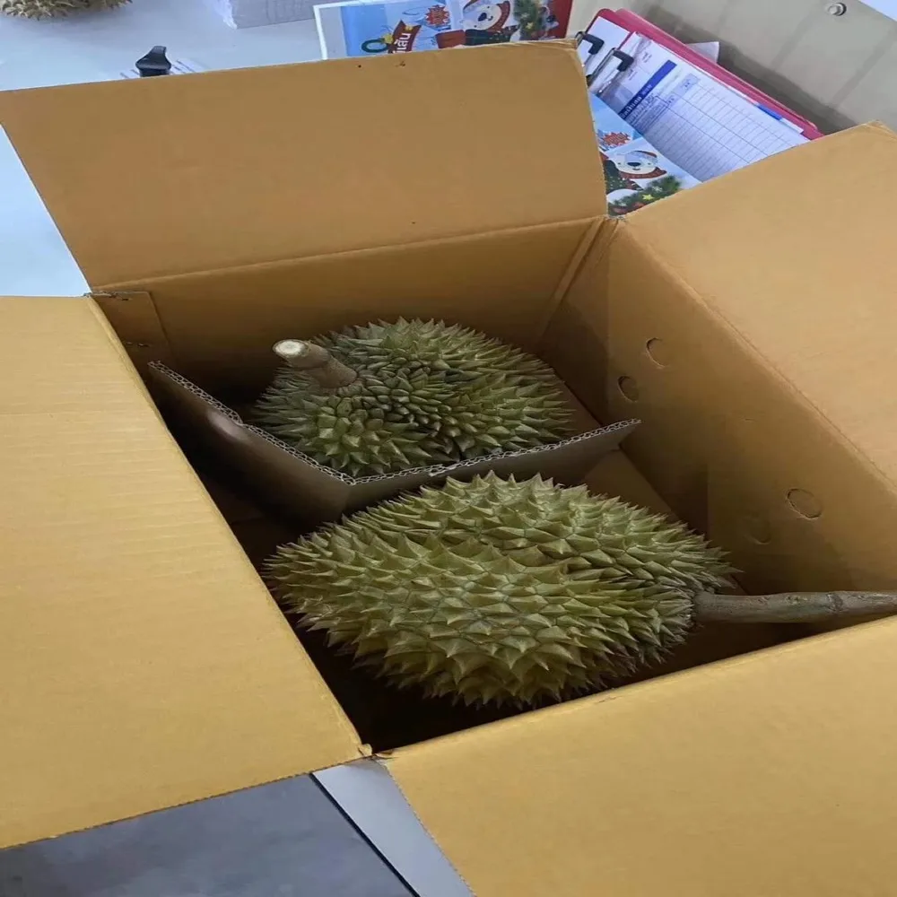 
Premium Monthong from Thailand Durian Fresh Fruit With High Quality 