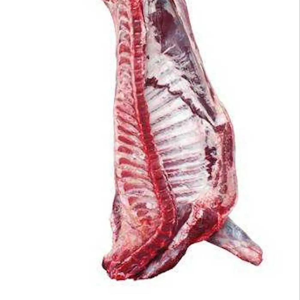 Lamb meat halal mutton meat