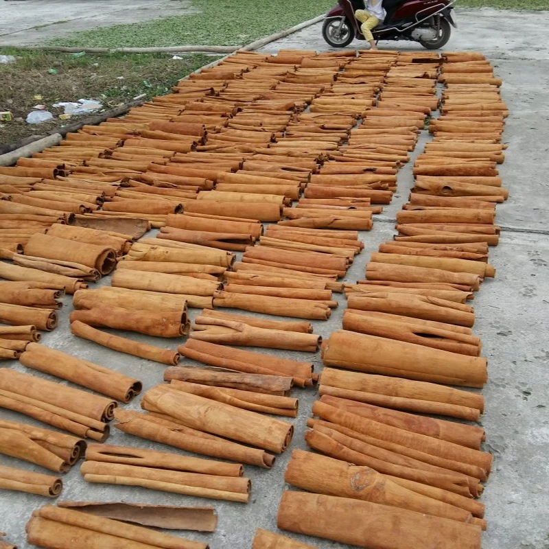 Tube KABC Cinnamon Cassia Best quality from factory supply ( Anya Truong +84 936509077 )