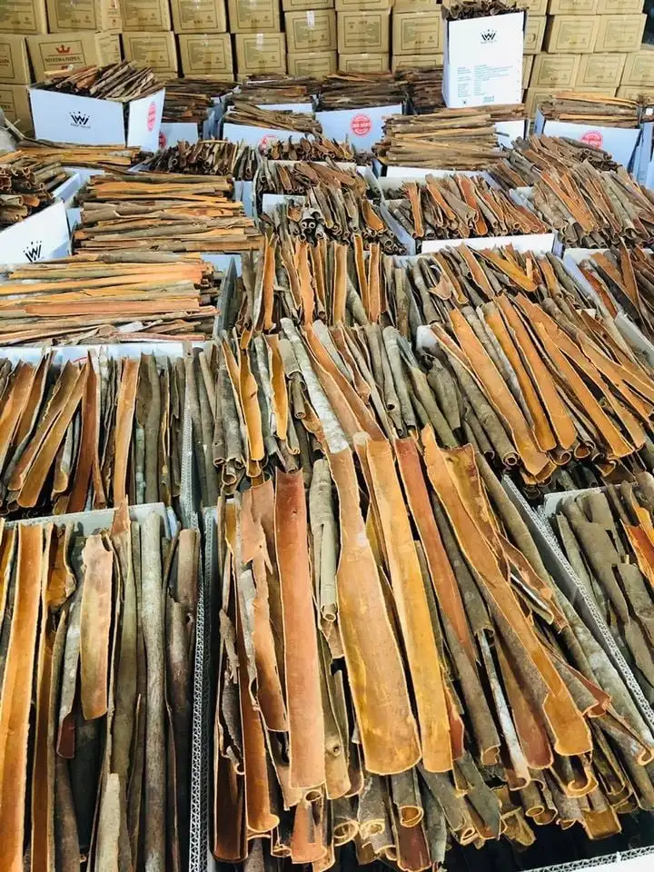 NEWEST CROP SPLIT CASSIA CINNAMON PRESSED CASSIA | Ms Lynn +84333421999 Whatsapp