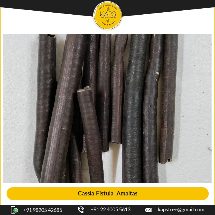 Лучшая Польза для здоровья превосходное качество сушеный ассортимент кассии рыба аламатов