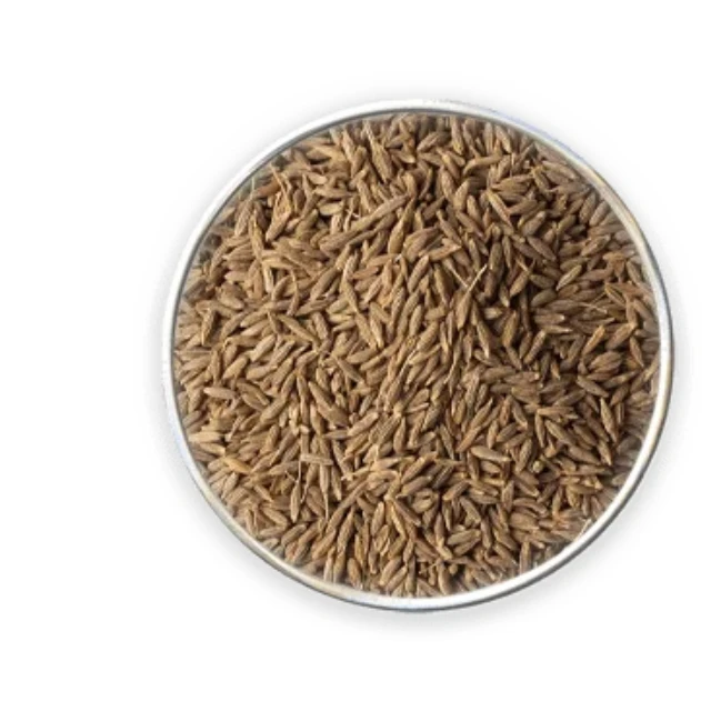 
Wholesale Price High Quality Single Spices Organic Whole Dried Cumin Seeds Black Cumin Seed Nigella Sativa Seed Habbatus Sauda 