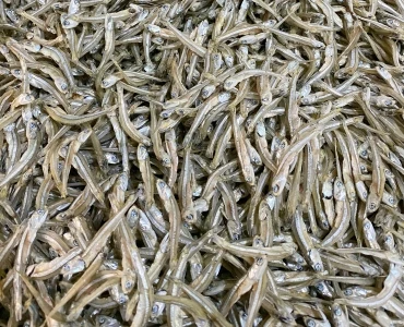 Сушеный СПАТ/сушеный на солнце рыба Анчоуса из Вьетнама по хорошей цене // Sven + 84 966722357