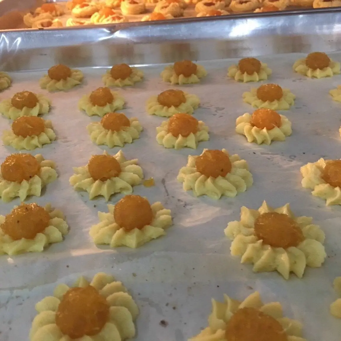 Вкусные морские печенья и жевательные