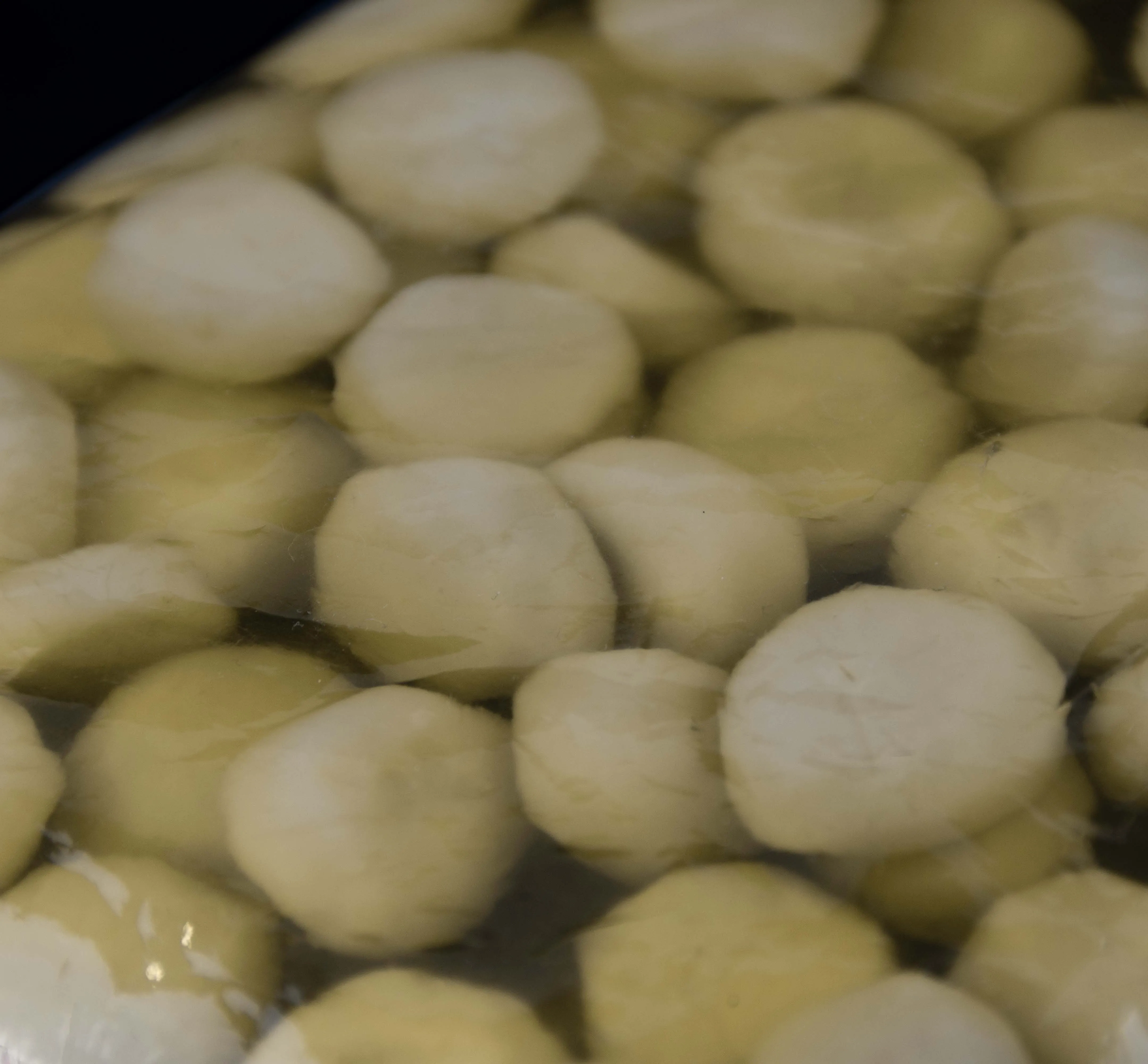 Water Chestnuts in Brine Top Quality Non GMO