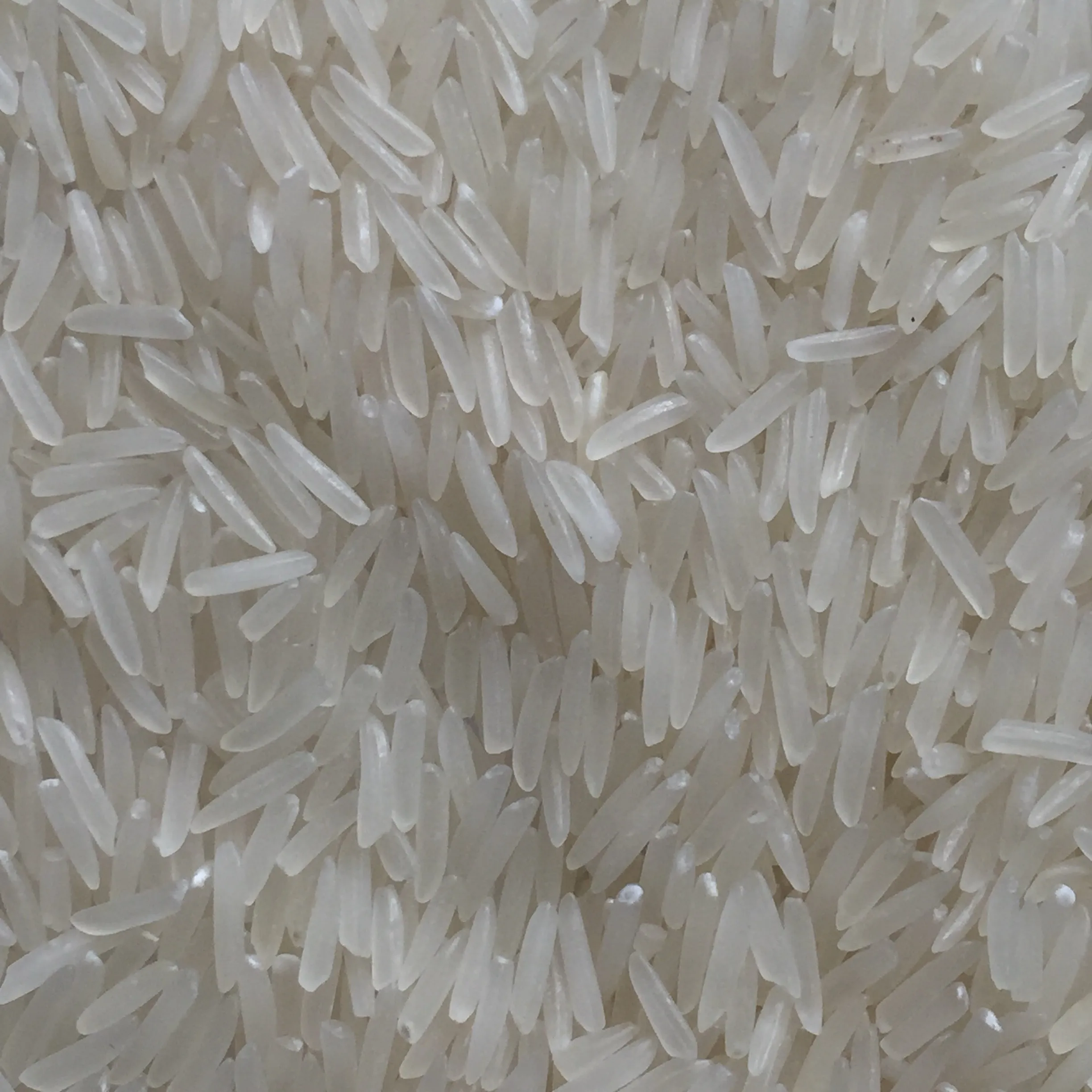 Soft Texture and Perfume sweet kind ST25 RICE