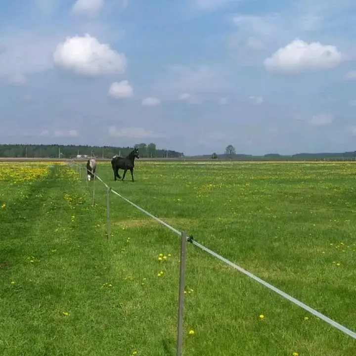 Земля в России #1