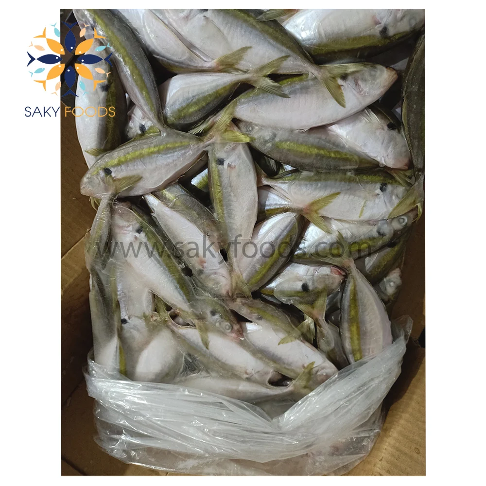 High Quality 2022 Yellow stripe trevally fish with Best Price Seafood made in Viet Nam yellow stripe fish