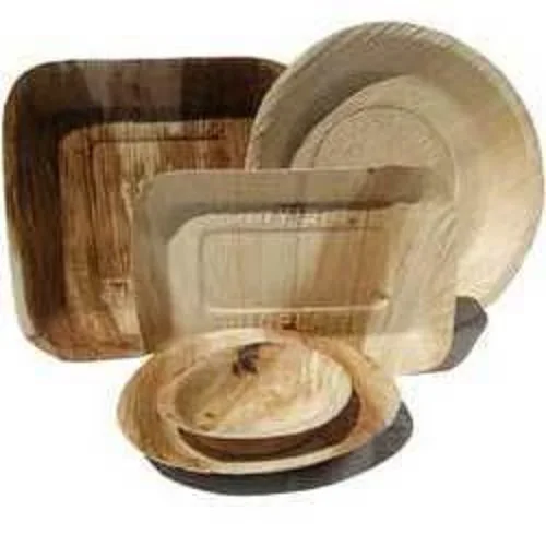 Longleef Party Plates Compostable Eco Friendly 10 Inch Square Biodegradable Areca Disposable Palm Leaf Plates