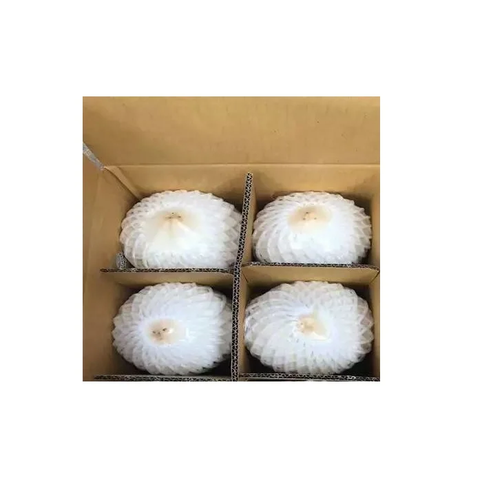 High Quality 720 - 900 g Weight Carton Packing  coconut fresh coconut young coconut- cocobe export from Thailand