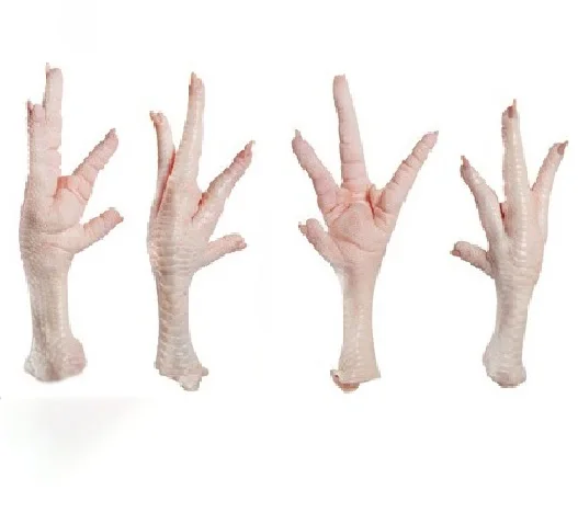 
SIF Approved Frozen Chicken Feet/Paws Export to China, Vietnam, Japan, Thailand 