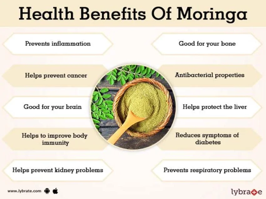 Moringa capsules made with high quality of moringa extract.