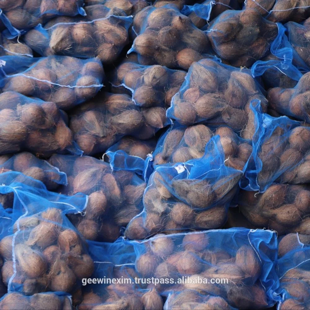  FRESH INDIAN SEMI HUSKED COCONUT FROM INDIA