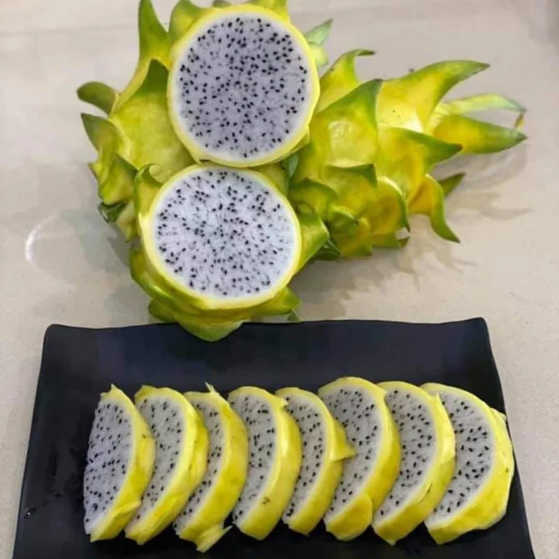 
100% Fresh Super Delicious Taste Premium Quality Dragon Fruit Whole Fruit Export From Vietnam 