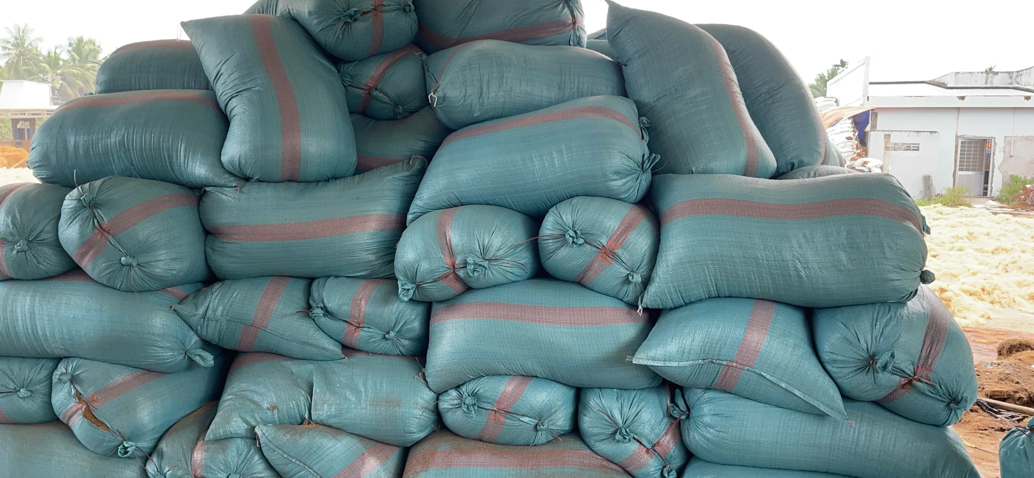 Cocopeat Washed cocopeat 100% Organic Coconut Product Cocopeat made in Viet Nam Garden Pots & Planters