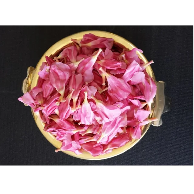 Arali Poo Fresh Nerium oleander Flowers Pink color red and white Arali Flower Buy Fresh Flower at best price