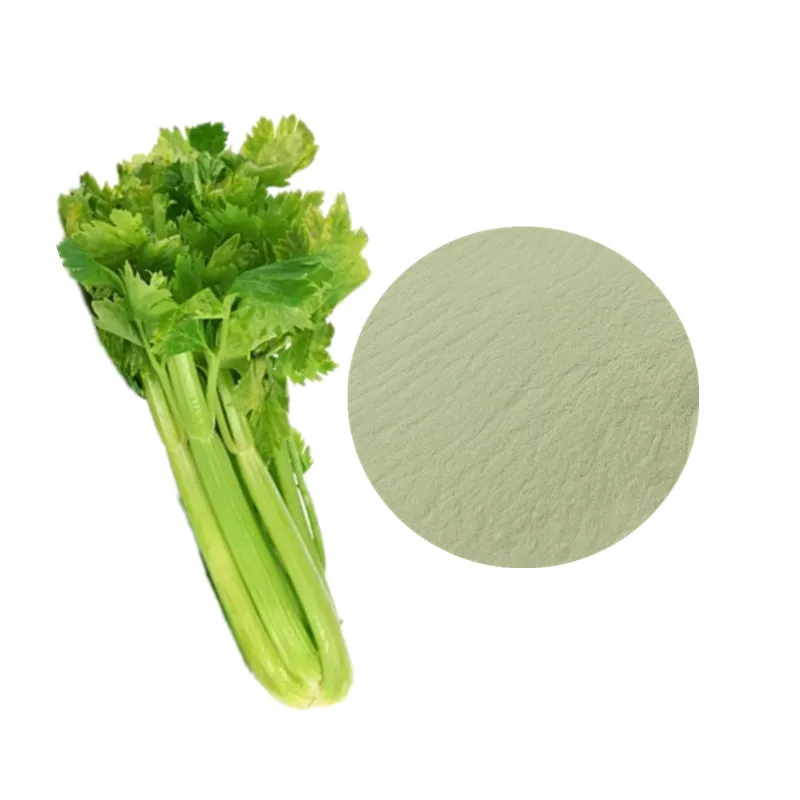 Celery Powder 60Grams Rich in Natural Fiber - Ms. Elaine +84 375 431 541