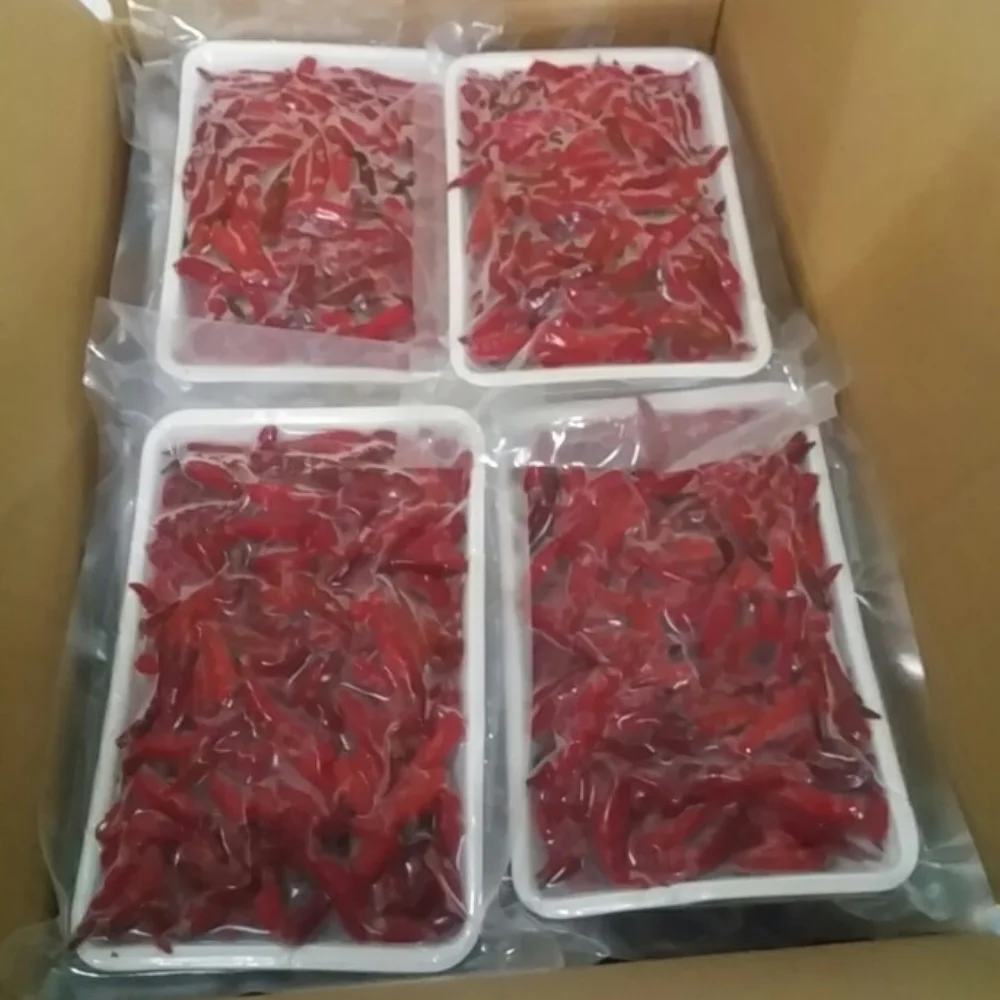 Vietnam Newest crop 2022 Fresh chilli pepper with stem - High Quality red colour chilli frozen chili for sale
