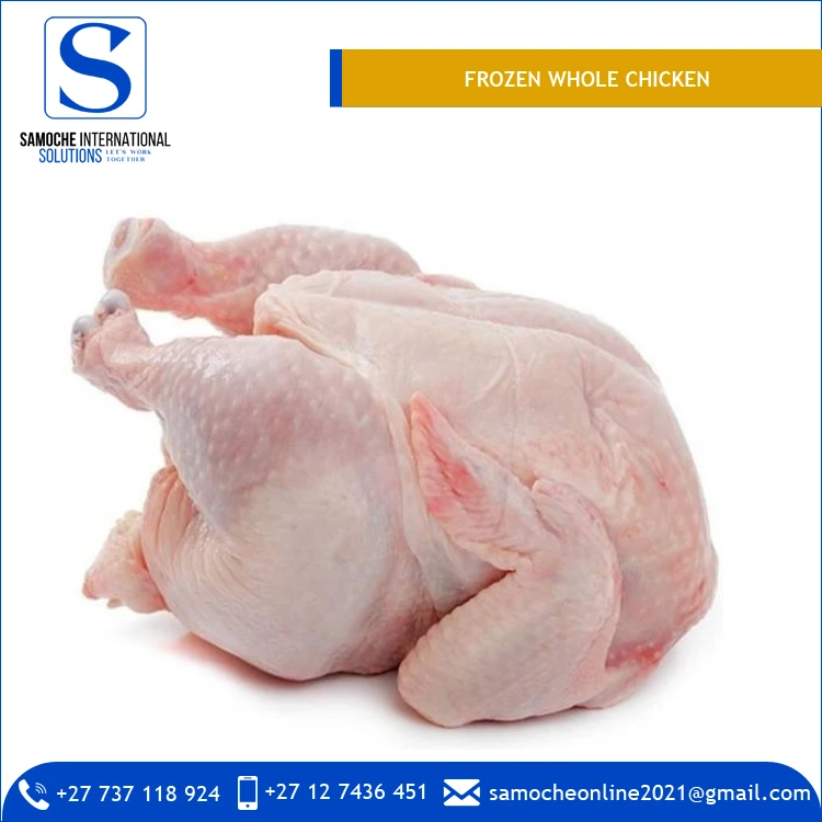  Халяльный питательный и вкусный замороженный цельный цыпленок по лучшей цене