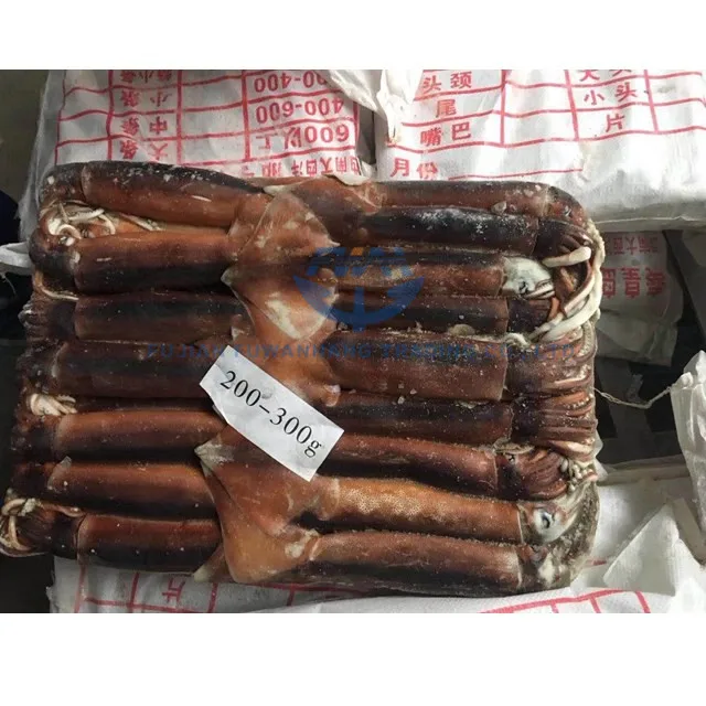 2021 frozen 100-150G illex squid for market