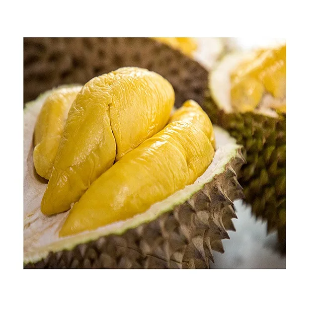 
VIETNAMESE BEST QUALITY DURIAN FRUIT 2020 - Fresh Durian / Dry Durian / Durian Frozen at Competitive Price 