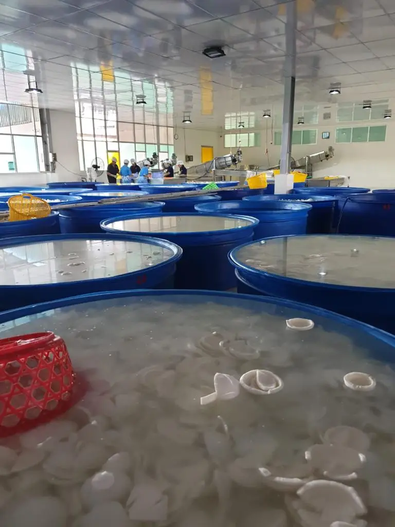 BEST PRICE desiccated coconut low fat desiccated Vietnam Manufacturer CoConut desiccated Dried fruit Top quality