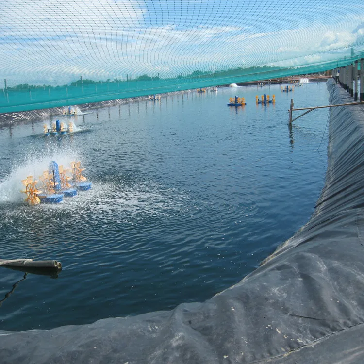  Гидроизоляция HDPE геомембрана для рыбного