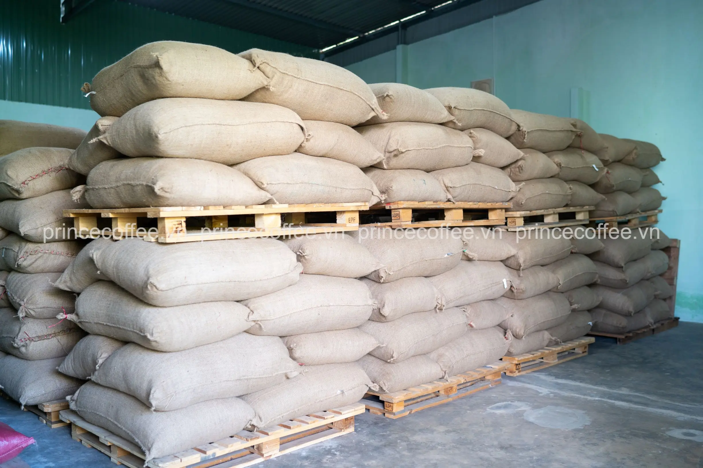  Новый продукт 18 scr кофе Арабика жареные зерна Вьетнам Премиум кофейные