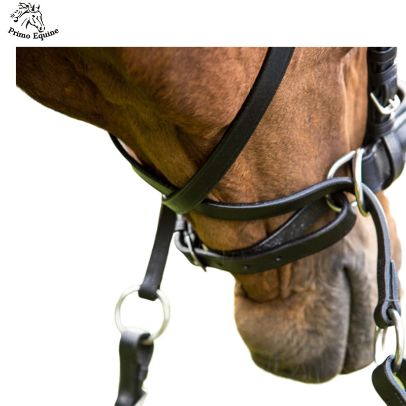 Adjustable Leather bridle Multiple Sizes Available Horse Halter +Bridle For Horse Racing