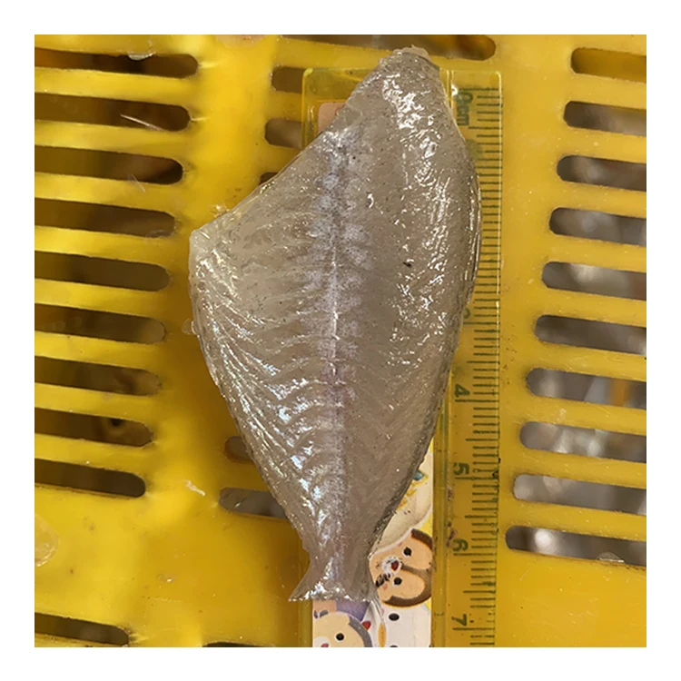 Fish and Seafood Wholesalers Glass Fish