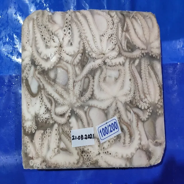 Frozen Baby Octopus whole block frozen from India